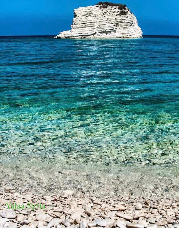 Latakia