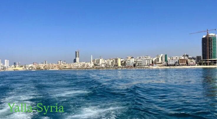 Tartus